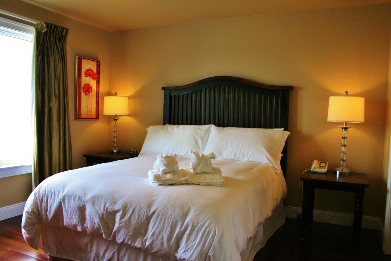 Oasis Suites Hotel 纳格斯黑德 外观 照片