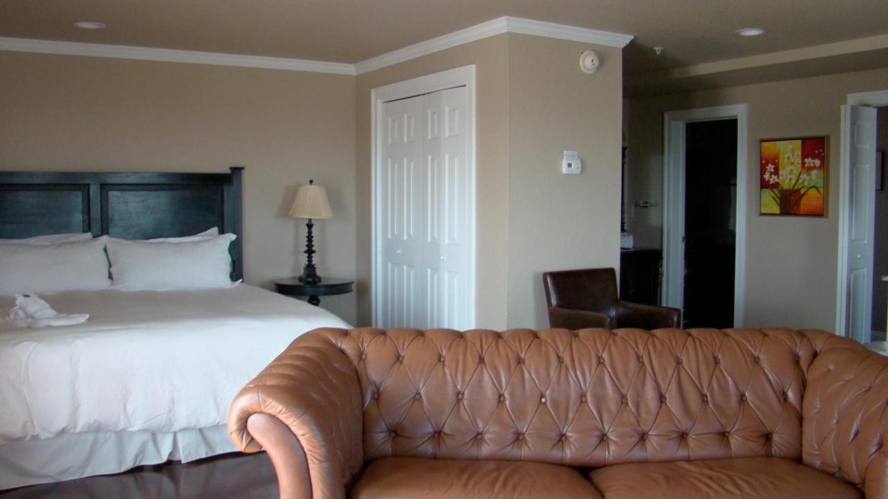 Oasis Suites Hotel 纳格斯黑德 外观 照片